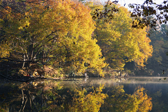 東京近郊に紅葉を見に行こう！神奈川・秦野「震生湖」で秋ハイキング